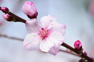 WCG新篇章，除了经典项目，还有哪些惊喜等待我们